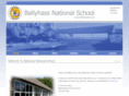 ballyhassns.net