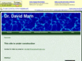 davidmarn.com