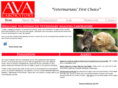 avalab.com