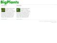 bigplants.com