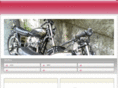 bumper-snowplow.com