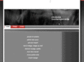 reveusecontemporaine.com