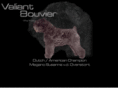 valiantbouvier.com