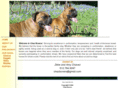 chazboxers.com