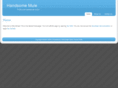 handsomemule.com