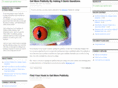 inyourfacepublicity.com