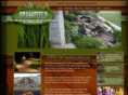 brassfieldlandscaping.com