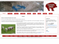 domesticsheepskins.com