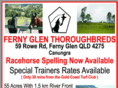 fernyglenthoroughbreds.com