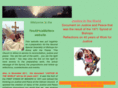 yesafricamatters.org