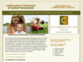 collaborativelawpa.com