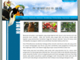 if-ecoadventures.com