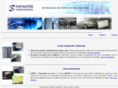 mensorlab.com