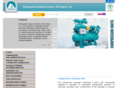 pzl-debica.com.pl