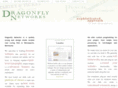 dragonfly-networks.com