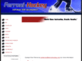 ferronihockey.com