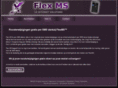 flexms.net