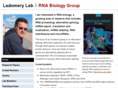 ladomerylab.org