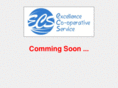 ecsnepal.com
