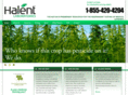 halent.com