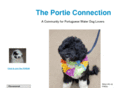 portieconnection.com