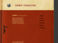 sonewconsulting.com