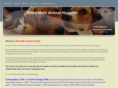 altonmainanimalhospital.com