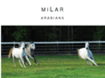 milararabians.com