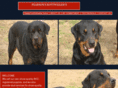 readyforarottweiler.com