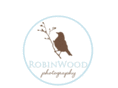 robinwoodstudios.com