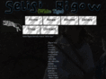 selisirigow.com