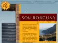 sonborguny.com