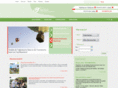 toerismewaasland.be