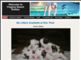 vabeachbullies.com