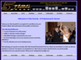 5starsounddjs.com