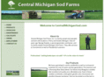 centralmichigansod.com