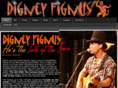 digney.com