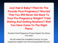 weightloss4newnorwichmums.com