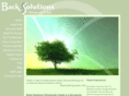 back-solutions.com