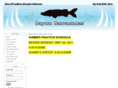 bayoubarracuda.com
