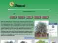 bonsaibahiablanca.com.ar