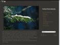 dabestphotos.com