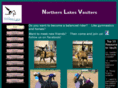 northernlakesvaulters.com