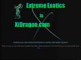 xidragon.com