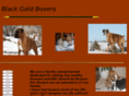 blackgoldboxers.com