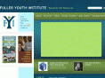 fulleryouthinstitute.org