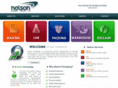 nelsonpackagingco.com