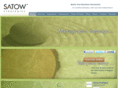 satowstrategies.com