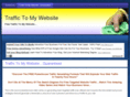 traffictomywebsite.net