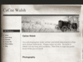 caceewalsh.com
